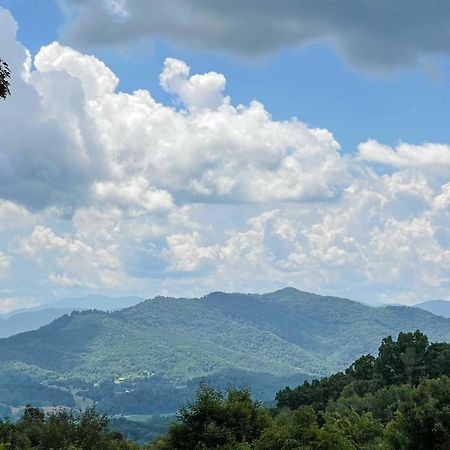 Luxe Cataloochee Cabin With Epic Mountain Views! Waynesville Dış mekan fotoğraf